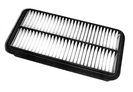 Air Filter (18010)
