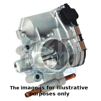 Throttle Body (89132R)