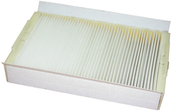 Filter, cabin air (17250F)