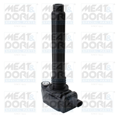 Ignition Coil (10886)