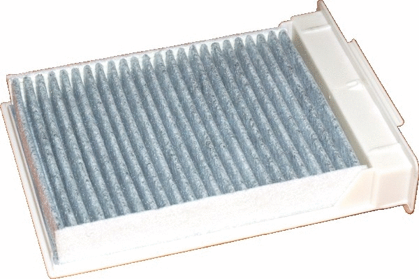 Filter, cabin air (17406FK)