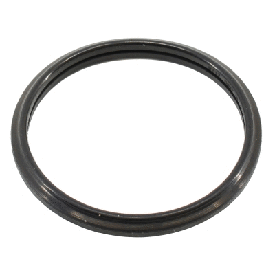 Seal, thermostat (016103)