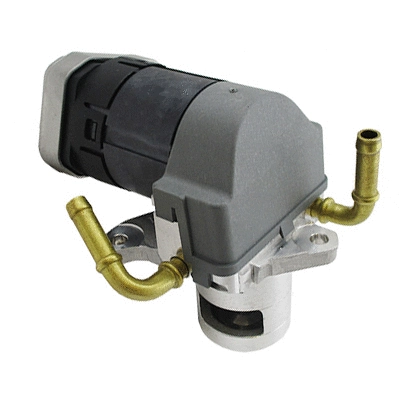 EGR Valve (88063R)