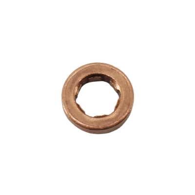 Seal Ring, injector (98362)