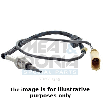Sensor, exhaust gas temperature (12363E)