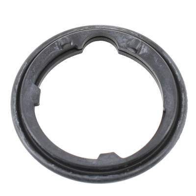 Seal, thermostat (01680)