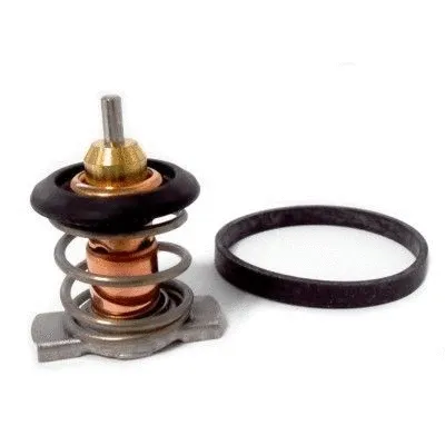 Thermostat, coolant (92843K)