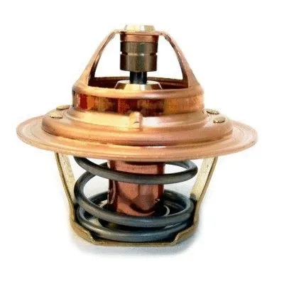 Thermostat, coolant (92388)