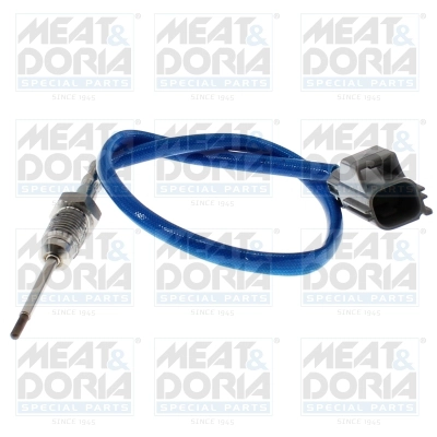 Sensor, exhaust gas temperature (12036)