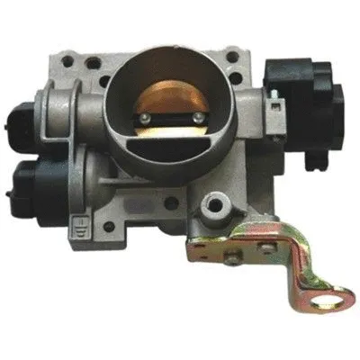Throttle Body (89001R)