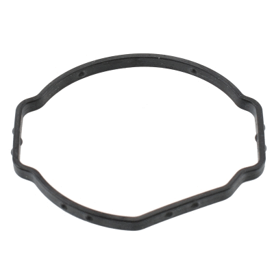 Seal, thermostat (01672)