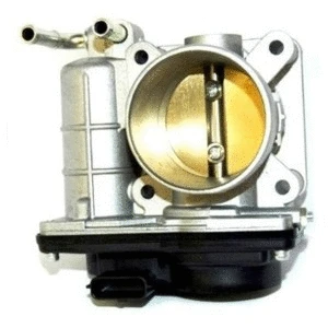 Throttle Body (89168)