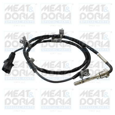Sensor, exhaust gas temperature (12577)