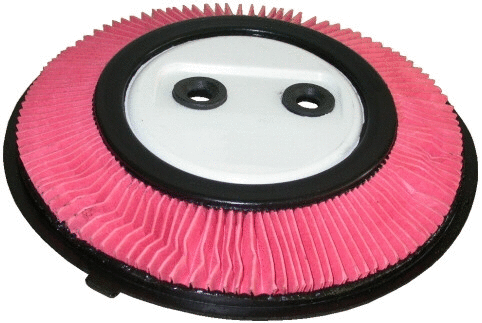 Air Filter (18018)