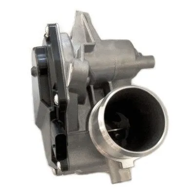 EGR Valve (88429)