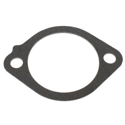 Seal, thermostat (016113)