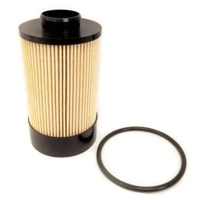Fuel Filter (4992)