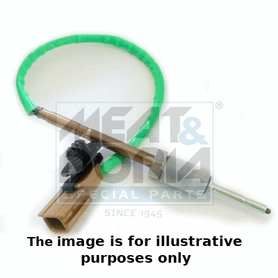 Sensor, exhaust gas temperature (12186E)