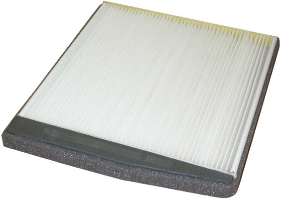 Filter, cabin air (17142)