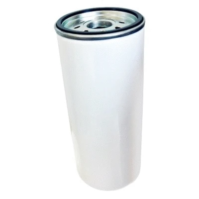 Fuel Filter (4598)