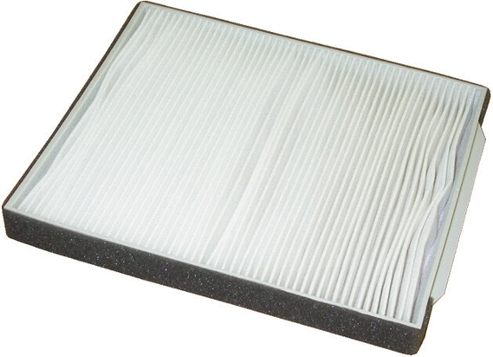 Filter, cabin air (17027F)