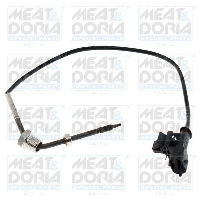 Sensor, exhaust gas temperature (12750)