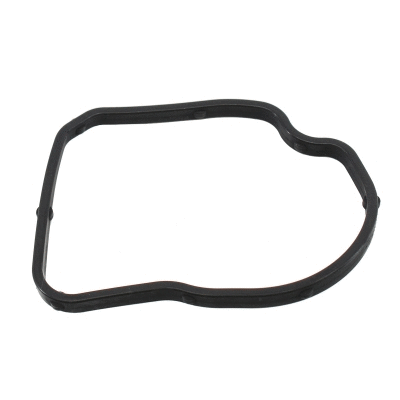 Seal, thermostat (01667)