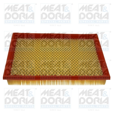 Air Filter (16575)