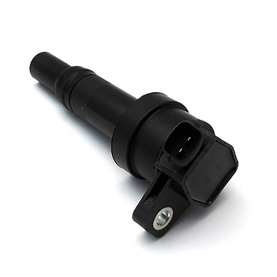 Ignition Coil (10625)