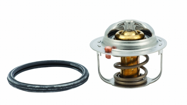 Thermostat, coolant (92546)