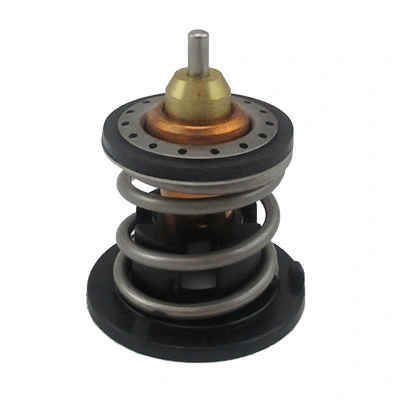 Thermostat, coolant (92919)
