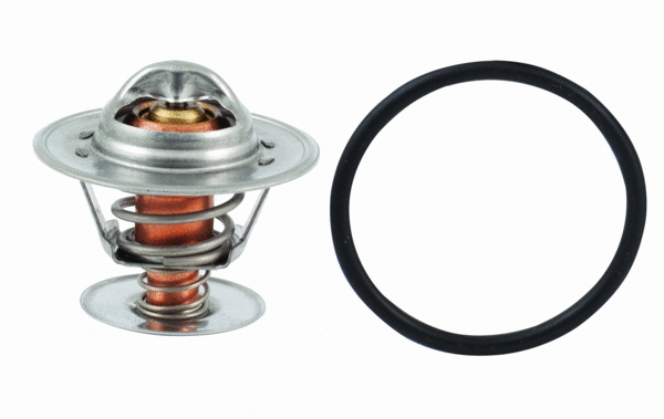 Thermostat, coolant (92308)