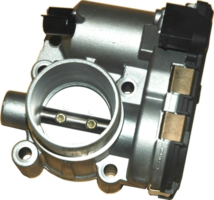 Throttle Body (89027)