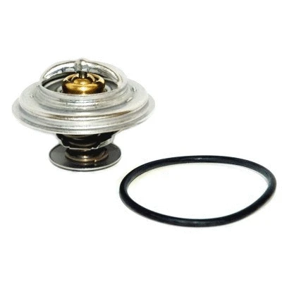 Thermostat, coolant (92171)