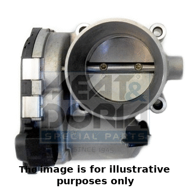 Throttle Body (89224R)