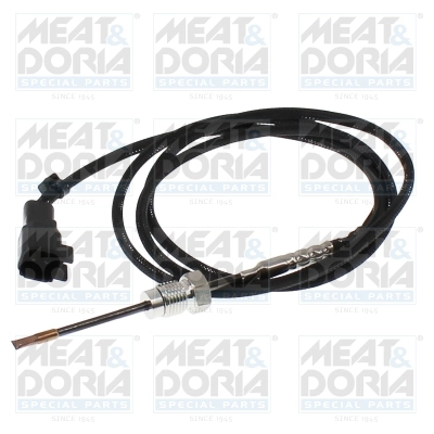 Sensor, exhaust gas temperature (12523)
