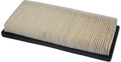 Air Filter (16337)