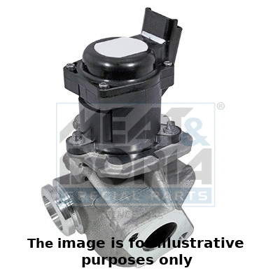 EGR Valve (88219E)