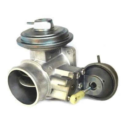 EGR Valve (88245)