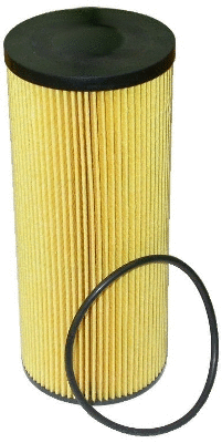 Oil Filter (14054)