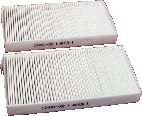 Filter, cabin air (17491-X2)
