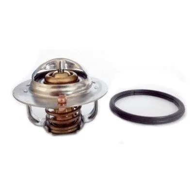 Thermostat, coolant (92833)