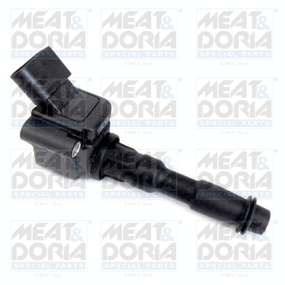 Ignition Coil (10722)
