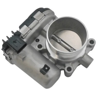 Throttle Body (89304)