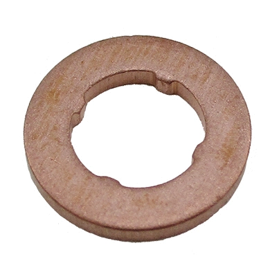 Seal Ring, nozzle holder (98012)