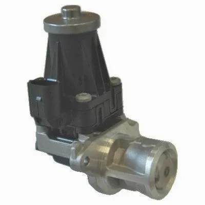 EGR Valve (88124R)