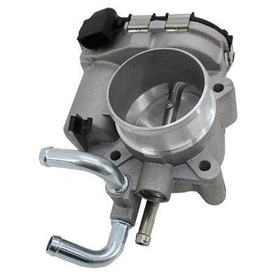 Throttle Body (89555)