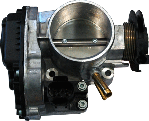 Throttle Body (89104)