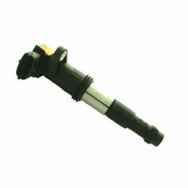 Ignition Coil (10313)