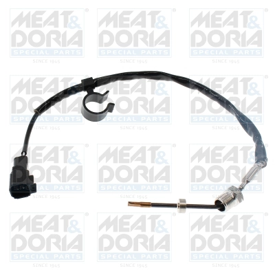 Sensor, exhaust gas temperature (12776)